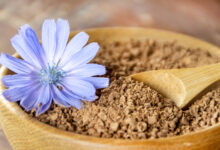 Inulin bei Histaminintoleranz