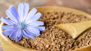 Inulin bei Histaminintoleranz