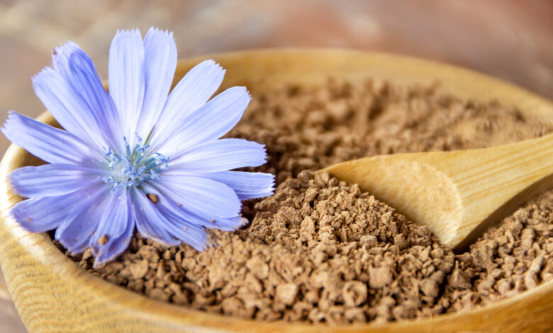 Inulin bei Histaminintoleranz