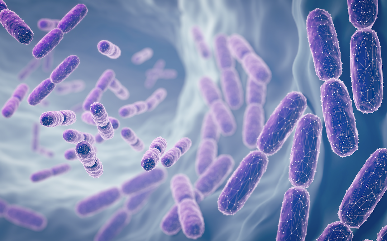 Probiotika und Histaminintoleranz